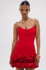 ROSES ARE RED CORSET MINI DRESS
