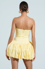 SPRING IS IN THE AIR POPLIN MINI DRESS