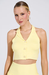 LEMONY EMILY CROPPED SWEATER VEST IN YELLOW