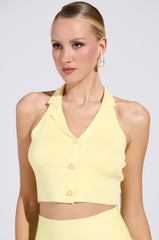 LEMONY EMILY CROPPED SWEATER VEST IN YELLOW
