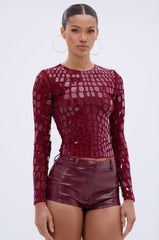 CAN SEE RIGHT THROUGH YOU MESH LONG SLEEVE TOP
