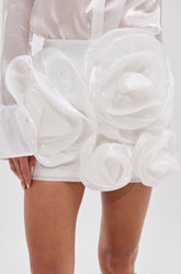 PRETTY HOT MINI SKIRT