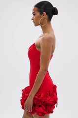 ROSES ARE RED CORSET MINI DRESS