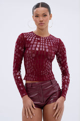 CAN SEE RIGHT THROUGH YOU MESH LONG SLEEVE TOP