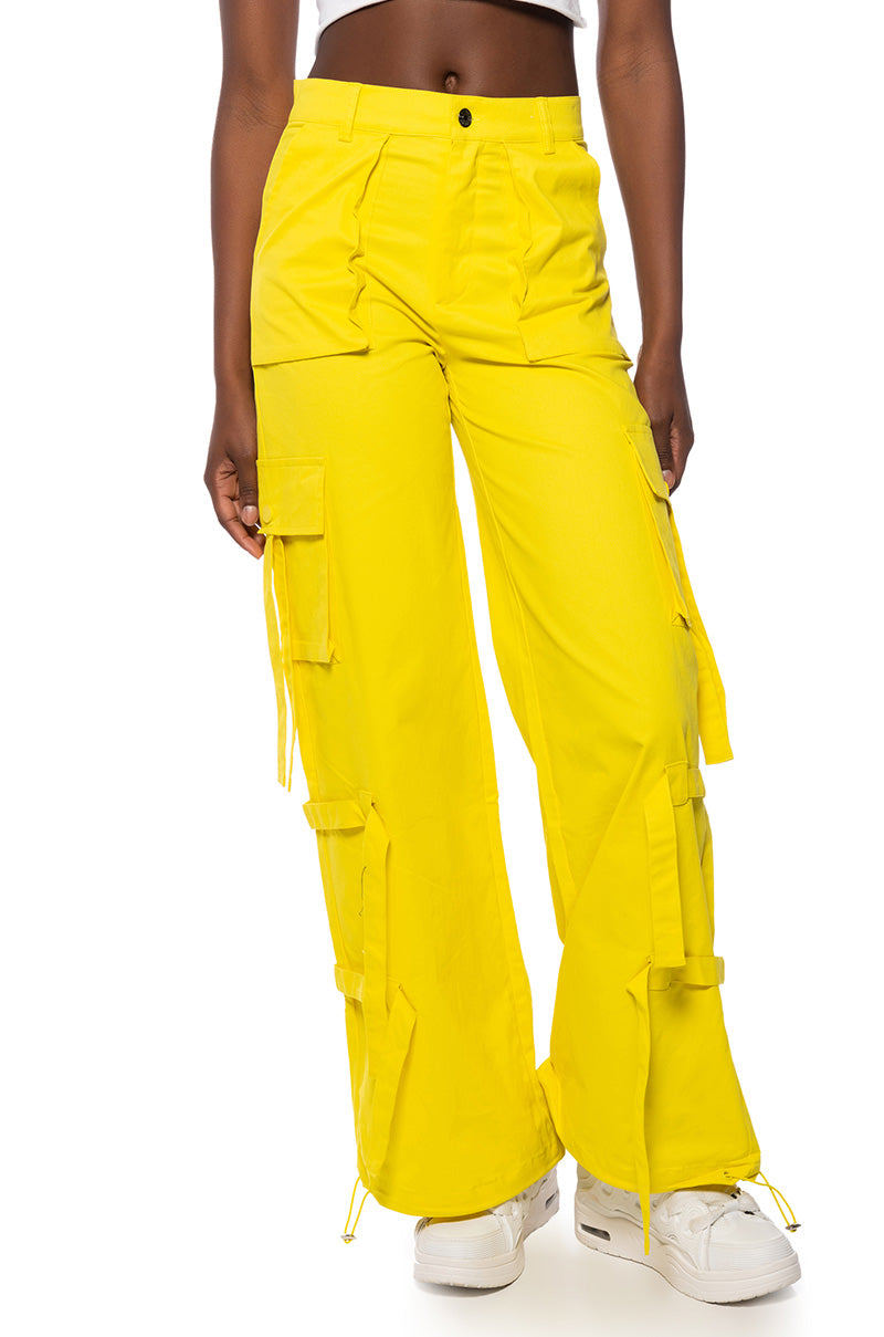 IT IS BACK CARGO PANTS