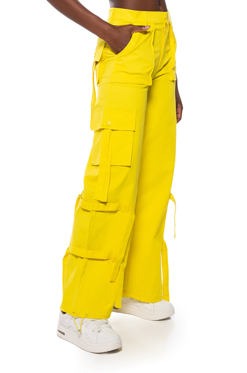 IT IS BACK CARGO PANTS