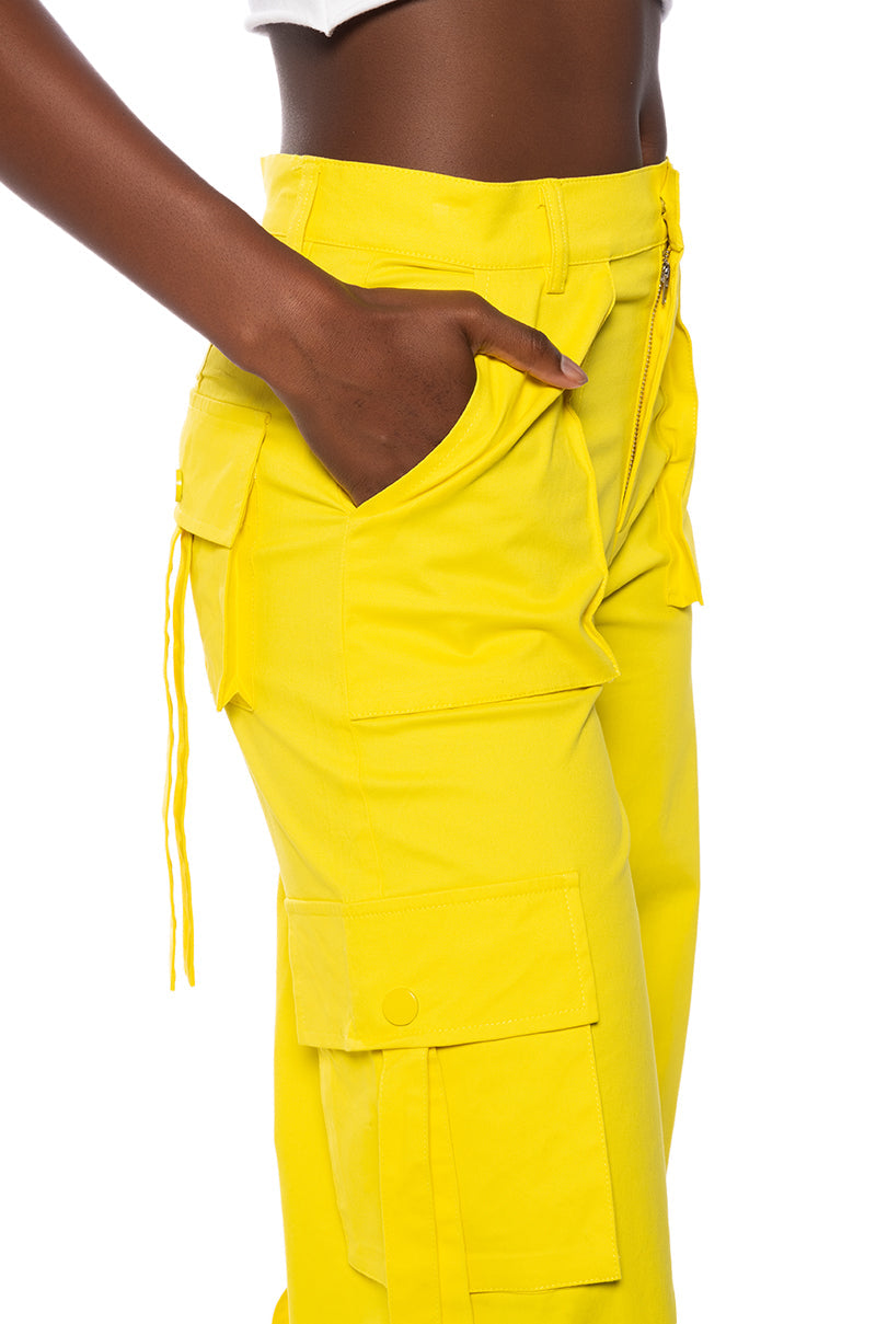 IT IS BACK CARGO PANTS